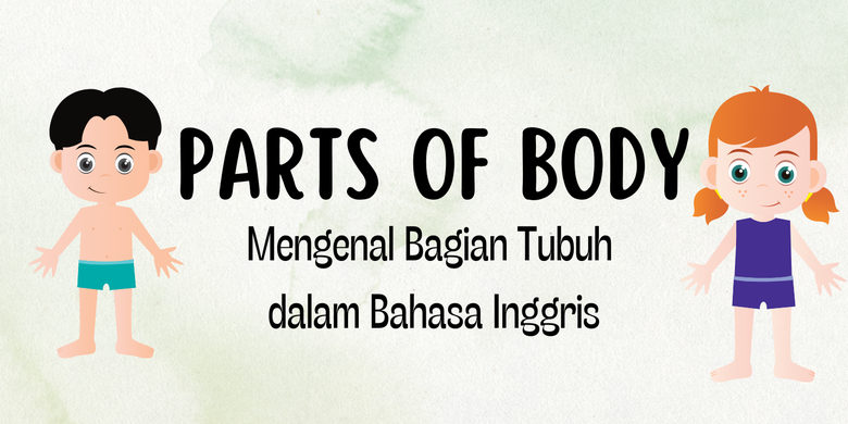 Parts of Body, Mengenal Bagian Tubuh dalam Bahasa Inggris