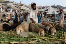 Jelang Hari Raya Idul Adha, Warga Afghanistan Rindukan Perdamaian