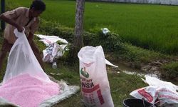 Agar Petani Tak Ketergantungan Pupuk Anorganik   