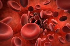 Apa yang Terjadi Apabila Darah Kekurangan Hemoglobin?