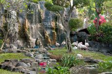 5 Aktivitas Wisata di Maharani Zoo dan Goa Lamongan