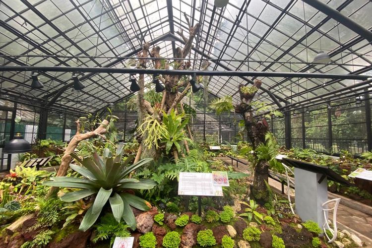Wahana Rumah Kaca Taman Nepenthes Kebun Raya Bogor