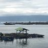 Ketika Hanya KJA Jadi Kambing Hitam Pencemaran Danau Toba...