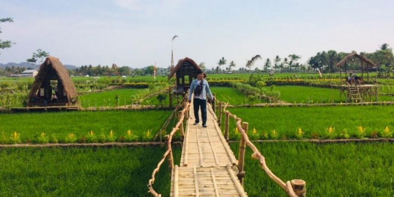 Seorang wisatawan melewati jembatan bambu di Bulak Widoro, Desa Gejahan, Kecamatan Ponjong, Kabupaten Gunungkidul, DI Yogyakarta, Jumat (2/11/2018). 