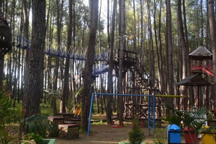 Pengunjung mulai mendatangi tempat wisata hutan pinus samparona di Kecamatan Sorawolio, Kota Baubau,  Sulawesi Tenggara. Para pengunjung yang datang harus menerapkan protokol kesehatan dengan menjaga jarak dan menggunakan masker.