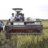 Acara Panen Padi Nusantara Satu Juta Hektar, Petani Kabupaten OKI Berhasil Panen 11.964 Hektar
