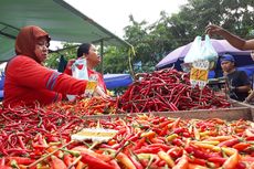 Stok Minim Sejak 2 Minggu Lalu, Harga Semua Jenis Cabai di Batam Naik