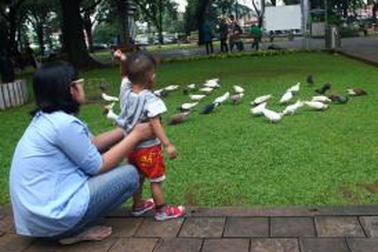 Pengunjung memberi makan merpati-merpati yang ada di Taman Suropati, Jakarta