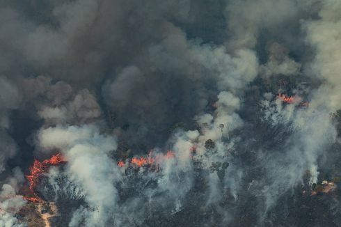 Rekor Kebakaran Hutan Baru di Brasil, Amazon dan Pantanal Hangus