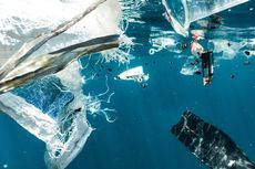 80 Persen Sampah di Laut adalah Sampah dari Daratan