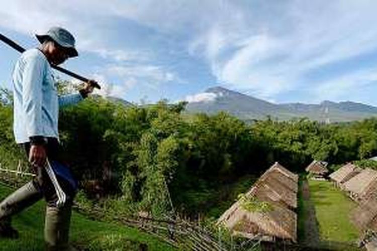 Petani di Desa Sembalun yang berada di kaki Gunung Rinjani, Kabupaten Lombok Timur, Nusa Tenggara Barat.