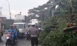 Masa Peralihan Musim, BMKG Prediksi Hujan Lebat dan Karhutla Awal Oktober