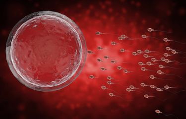 Ayol organlarini teshish fotosuratlari