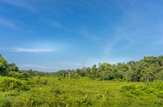 Daftar UMK Bali 2026 di 9 Kabupaten/Kota, Badung Tertinggi