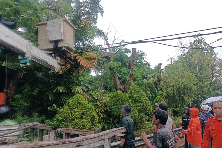 Proses pemotongan pohon tumbang akibat hujan dan angin kencang di Surabaya, Selasa (28/11/2023)