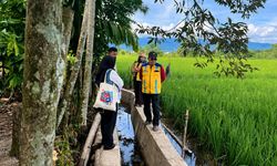 Musim Tanam Tiba, Nagan Raya Manfaatkan TKD untuk Rehabilitasi Sawah Terdampak