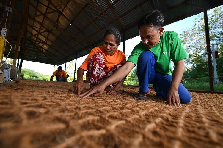 PT Aneka Tambang Tbk (Antam) melakukan pendampingan kepada para petani kelapa di Kecamatan Maba, Halmahera Timur, untuk mengolah serabut kelapa menjadi berbagai produk yang memiliki nilai tambah.
