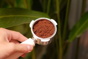 Jangan Buang Ampas Kopi Anda, Ada 6 Manfaat untuk Rumah