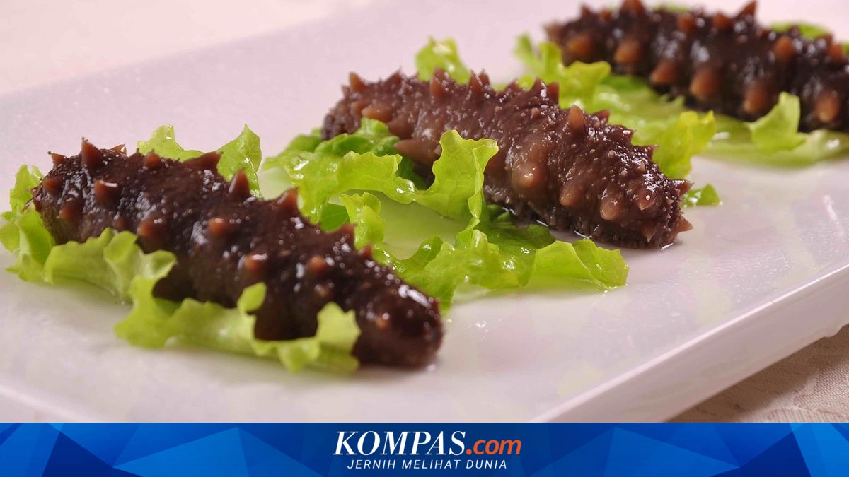 2 Cara Masak Teripang, Ada Teripang Kering dan Basah