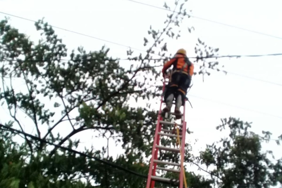 Listrik yang gangguan diperbaiki tim PLN, Krukut, Depok, Jumat (23/11/2018).