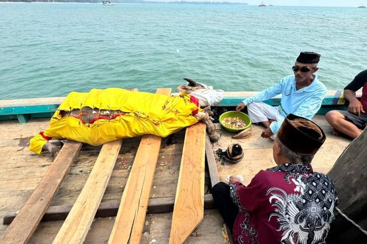 Warga Carita Larung Kerbau ke Laut untuk Doakan Rombongan Jurnalis yang Hilang