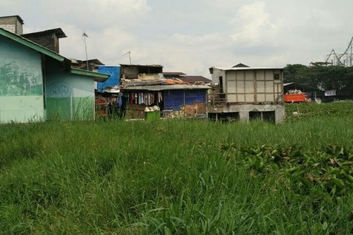 TPU Kapuk Teko, Kelurahan Kapuk, Cengkareng, Jakarta Barat, yang diminta warga Kampung Apung dijadikan lahan pembangunan sekolah tertutupi air dan tanaman eceng gondok serta rumput liar, Senin (9/5/2016).