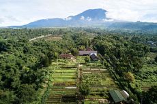 Sukasantai Farmstay, Nginap di Tengah Kebun Organik dengan Pemandangan Gunung Gede