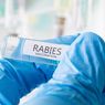 Memahami Cara Kerja Vaksin Rabies dan Efek Sampingnya