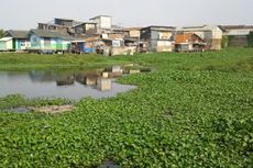 Makam Kapuk Teko di Kampung Apung Banjir Lagi