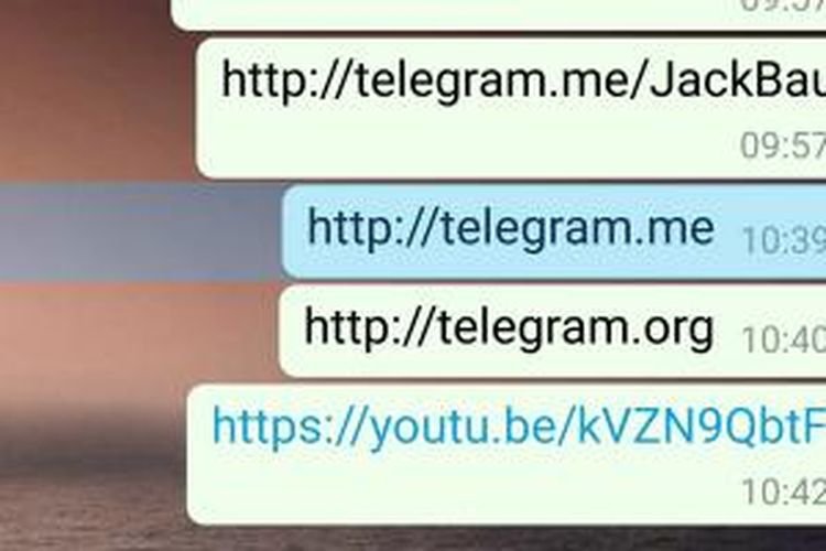 Screenshot percakapan di WhatsApp yang memblokir link menuju Telegram, ditampilkan sebagai teks biasa, bukan hyperlink.