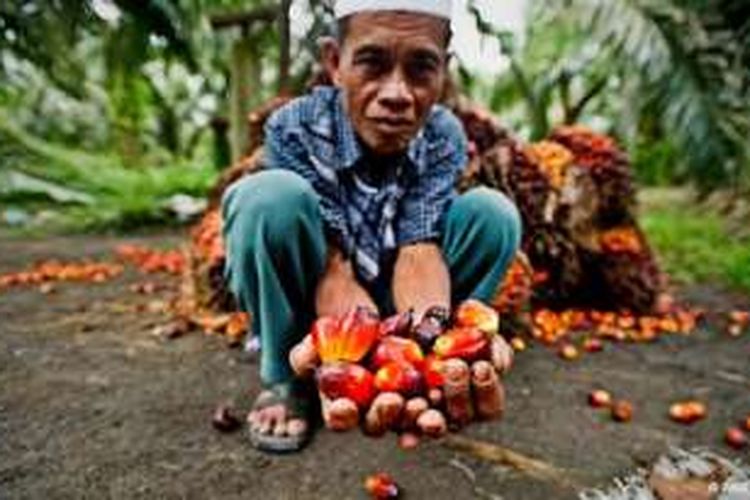 Indonesia adalah negara pemasok minyak sawit terbesar dunia. 