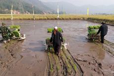 Lahan Makin Minim, Perluasan Area Pertanian di Jawa Barat Terhambat