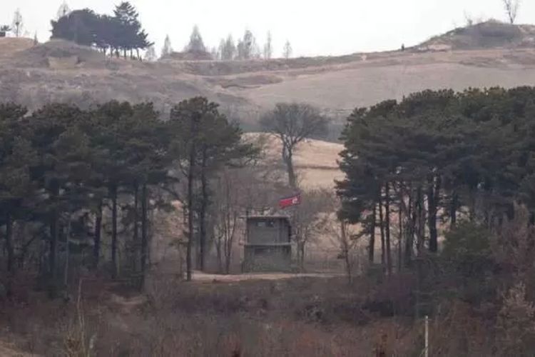 Zona Demiliterisasi (DMZ) antara Korea Utara dan Selatan dikenal sebagai salah satu tempat paling berbahaya di dunia.