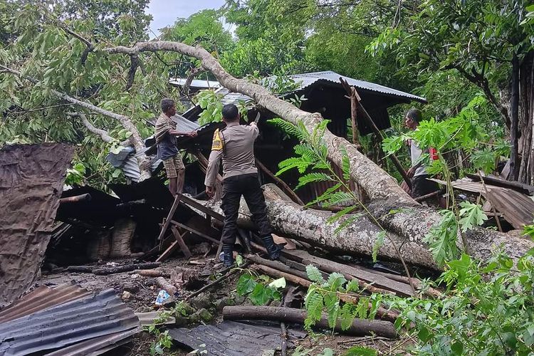 Rumah warga di Desa Faennake, Kecamatan Bikomi Utara, Kabupaten Timor Tengah Utara (TTU), Nusa Tenggara Timur, rusak akibat ditimpa pohon dan puting beliung