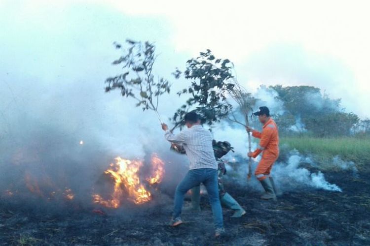 Kebakaran terjadi di jalur pendakian Gunung Rinjani, Lombok, Nusa Tenggara Barat (NTB). 