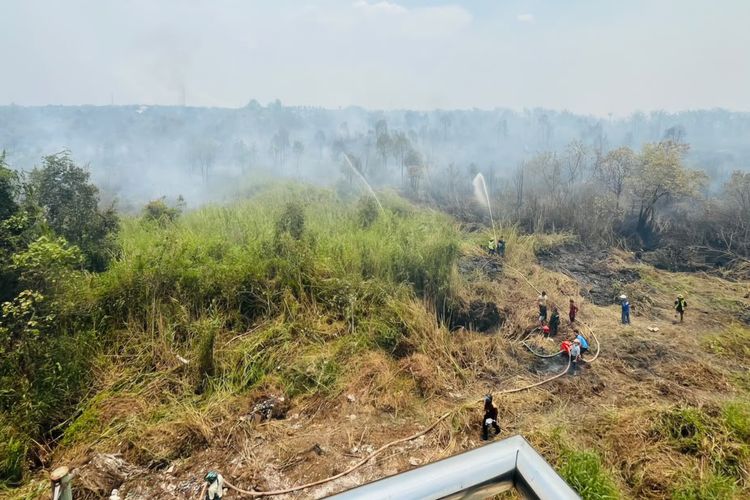 Curhat Warga Banjarmasin Terdampak Kabut Asap, Hirup Bau Sangit Meski di dalam Rumah