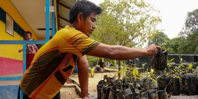 Warga menyiapkan bibit pohon, salah satu sarana pembayaran klinik kesehatan.