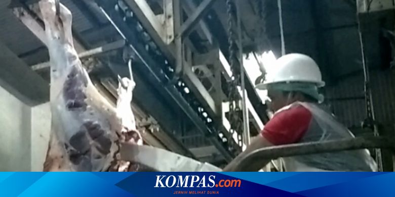 RPH Hanya Mampu Potong 200 Ekor Sapi Sehari, Penyembelihan Hewan Kurban Boleh Dilakukan di Luar - Vimarsana News