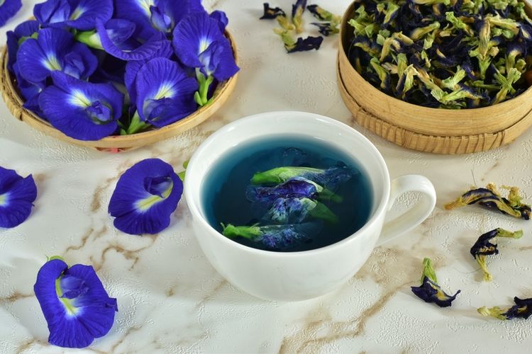 Ilustrasi teh bunga telang, apa efek samping dari bunga telang