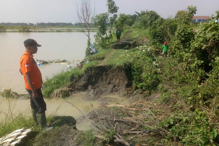 Salah satu tanggul yang jebol lantaran debit air sungai meningkat usai hujan dengan intensitas tinggi mengguyur wilayah Kabupaten Lamongan, Jawa Timur, Rabu (15/3/2023).