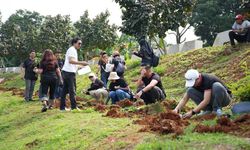 PT DBS Vickers Sekuritas Indonesia Tanam 100 Pohon Trembesi di Waduk Brigif