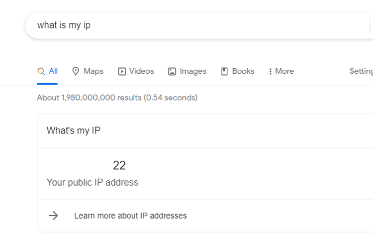 Tangkapan layar fitur tersembunyi Google Search untuk mencari IP address.