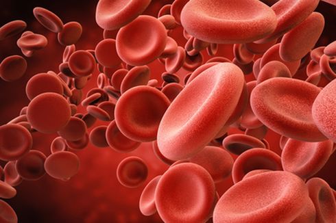 Apa itu Hemoglobin (Hb)?