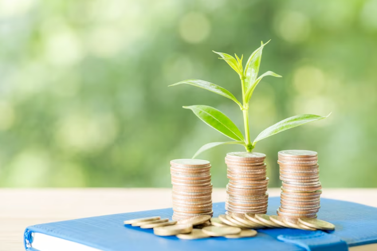 Beberapa tips memilih investasi yang aman dan menguntungkan untuk pemula