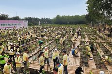 Aeon Environmental Foundation Lanjutkan Misi Hijau, Tanam Ribuan Mangrove di PIK Jakarta