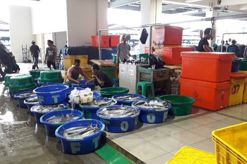 Pasar Ikan Modern Muara Baru Tak Jual Ikan dari Teluk Jakarta