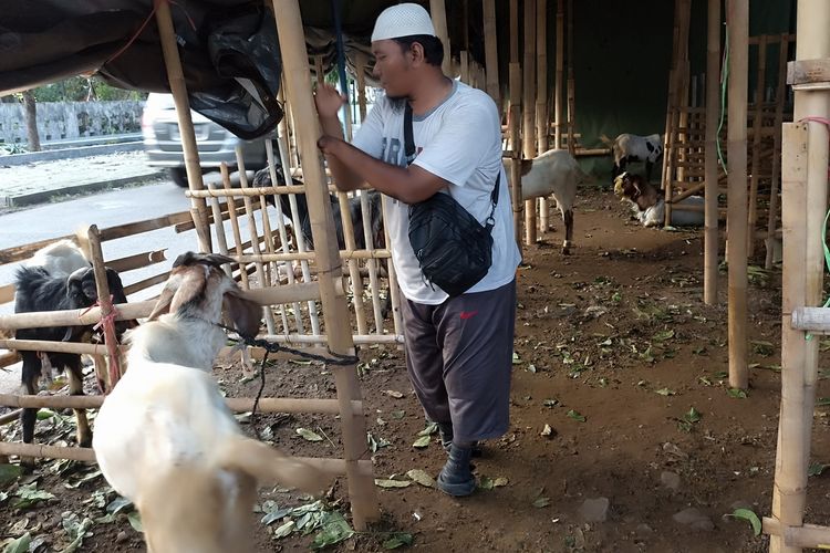 Muhammad Alim (39), disabilitas yang sukses bisnis hewan kurang di Puspowarno, Kota Semarang, Jawa Tengah. Minggu (16/6/2024). 