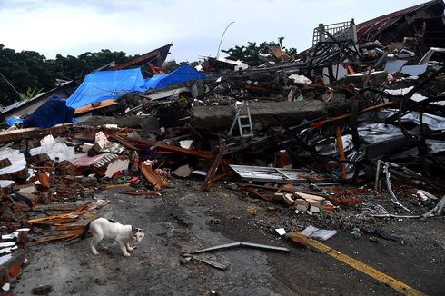 Update: 84 Orang Meninggal akibat Gempa di Sulawesi Barat