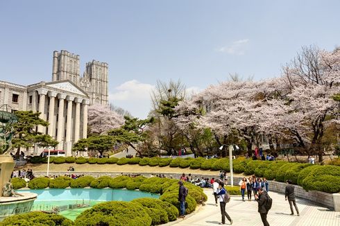 Beasiswa S2/S3 Korea, Tunjangan Hidup per Bulan Rp 12 Juta