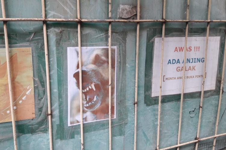 Anjing yang Serang ART bernama Yayan (35) di Jalan Langgar, Cipayung, Jakarta Timur Hingga Tewas Milik Presenter TV Bima Aryo, Senin (2/9/2019).